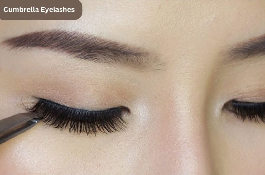  Cumbrella Eyelashes: The Story Behind The Internet Sensation